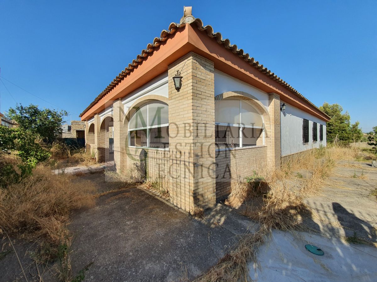 En cualquier momento Cerdo espejo venta de chalet en El Puerto de Santa María, EL REDONDEL Id:01041210 En cualquier momento Cerdo espejo venta de chalet en El Puerto de Santa María, EL REDONDEL Id:01041210