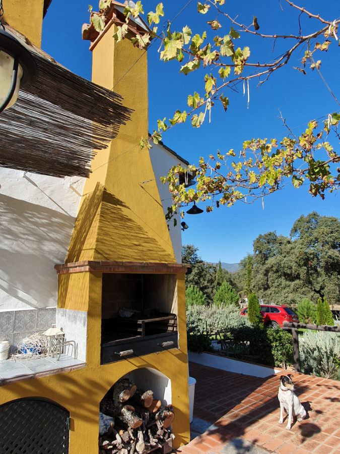 Venta de finca rústica en Alájar