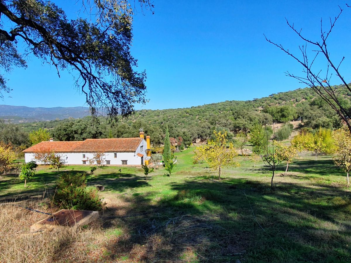 Venta de finca rústica en Alájar