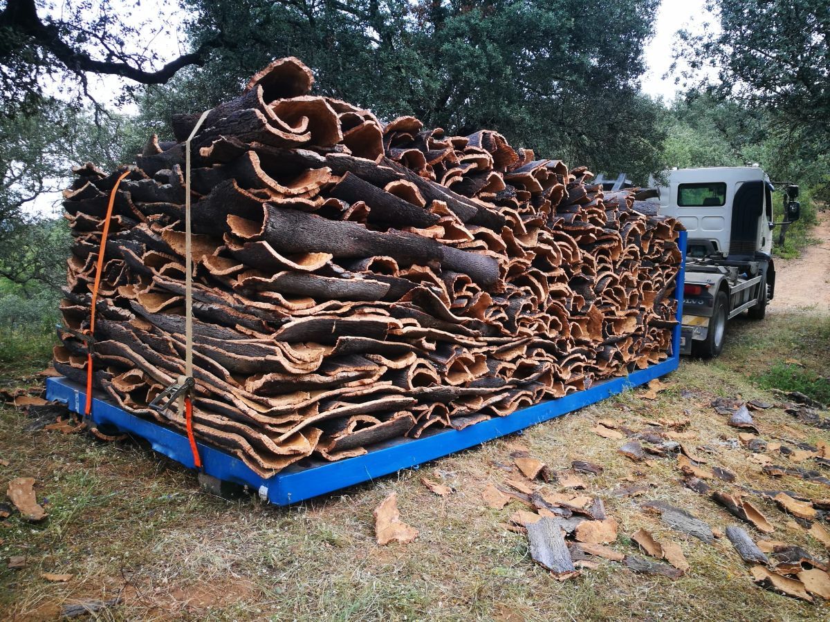 Venta de finca rústica en Alájar