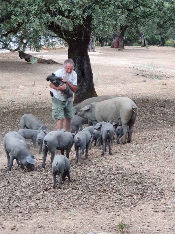 Venta de finca rústica en Alájar