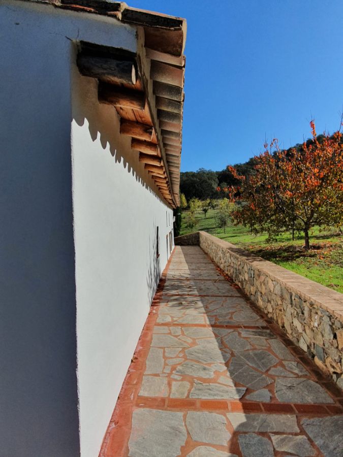 Venta de finca rústica en Alájar