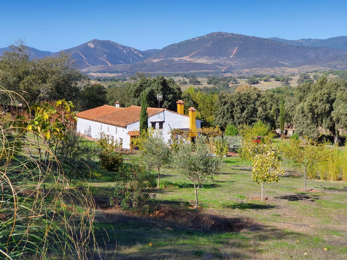 Venta de finca rústica en Alájar