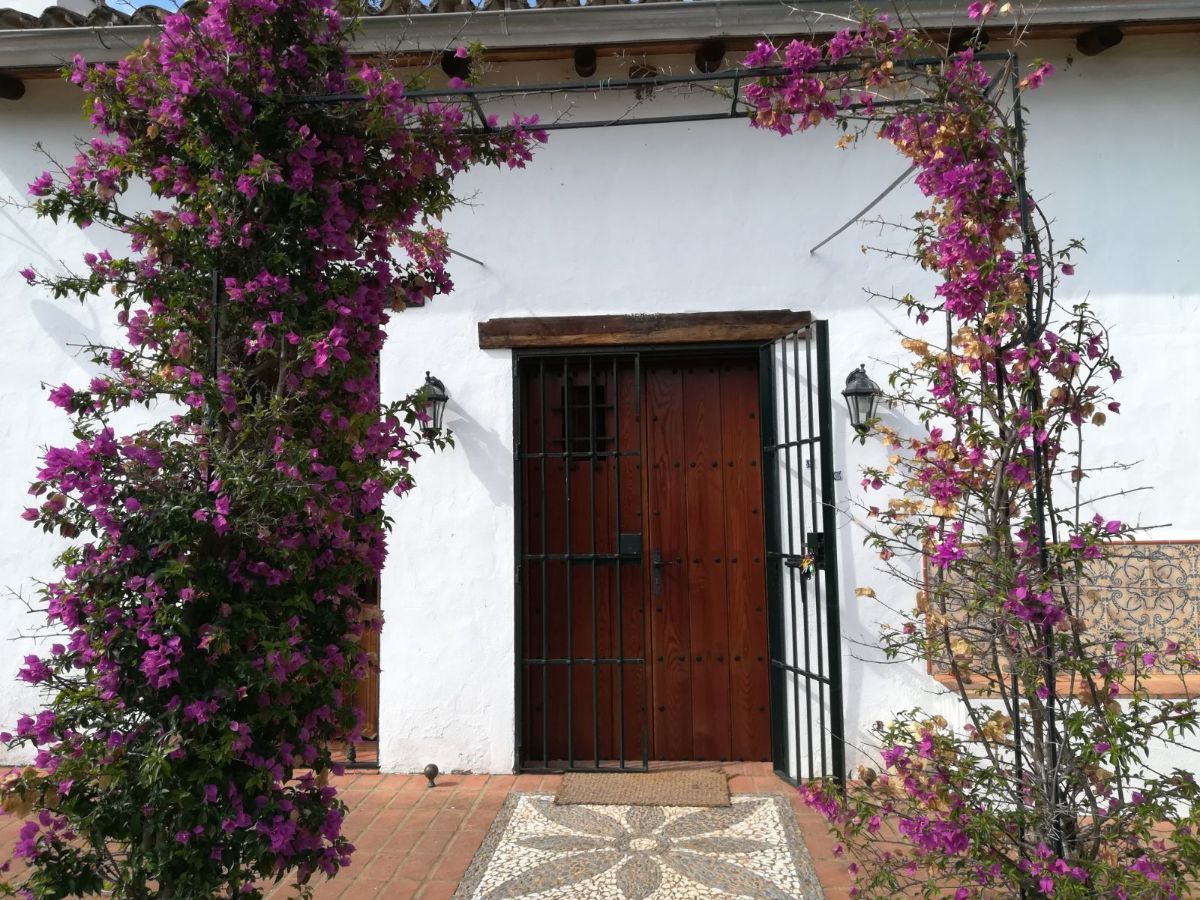 Venta de finca rústica en Alájar