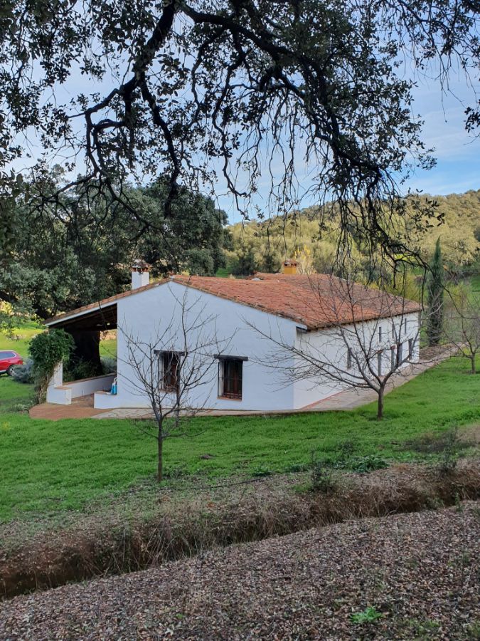 Venta de finca rústica en Alájar