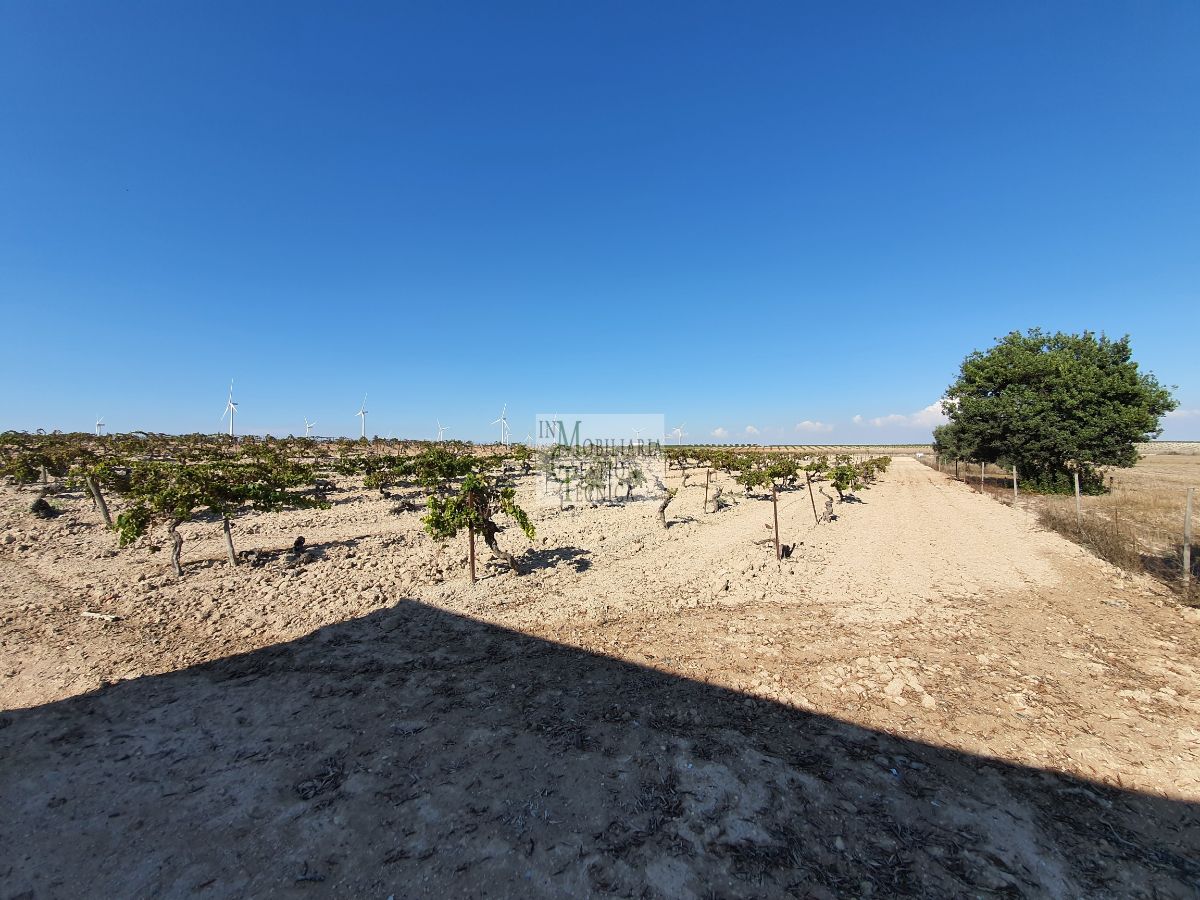 Venta de finca rústica en El Puerto de Santa María