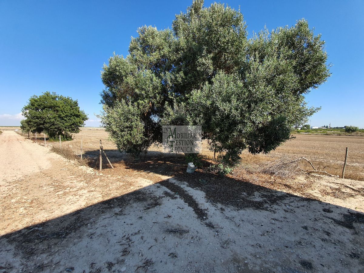 Venta de finca rústica en El Puerto de Santa María