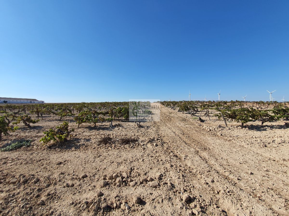 Venta de finca rústica en El Puerto de Santa María