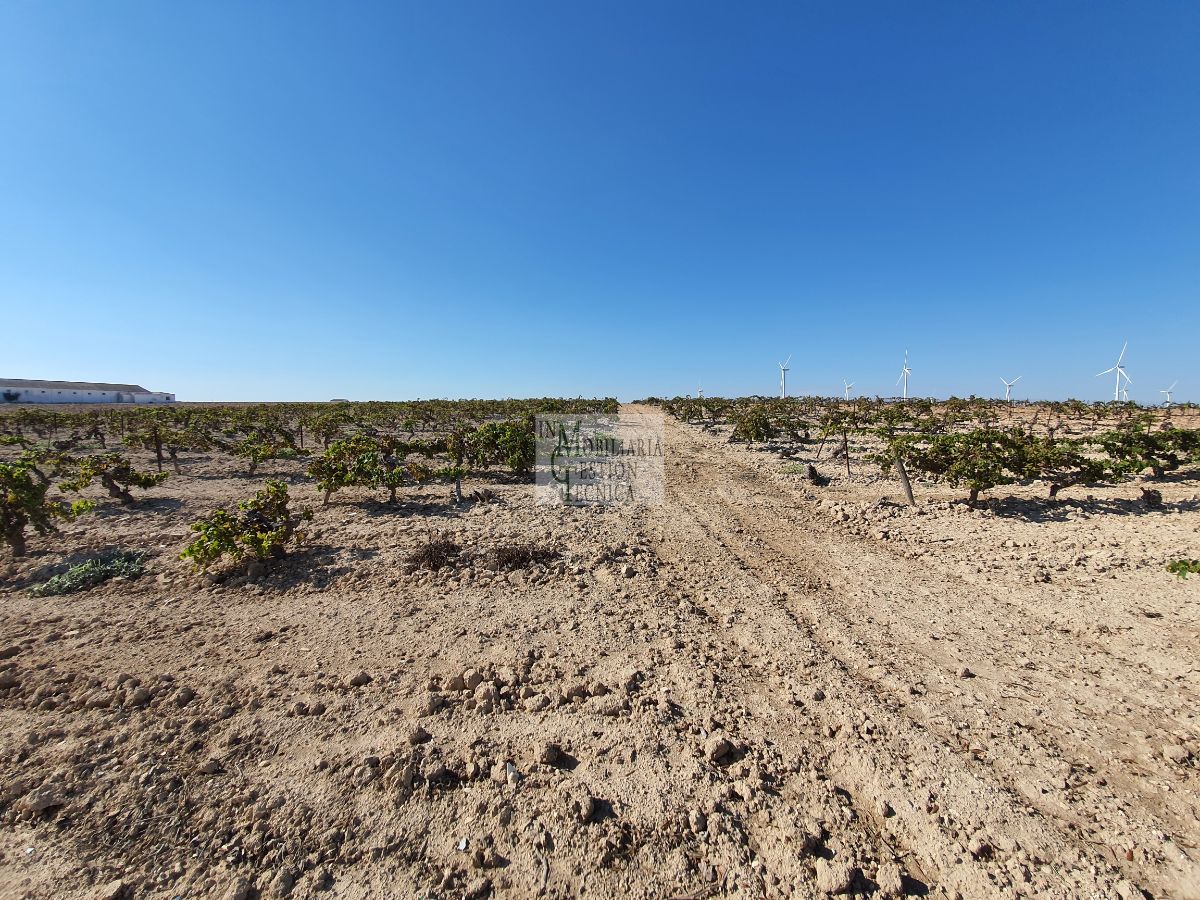 Venta de finca rústica en El Puerto de Santa María