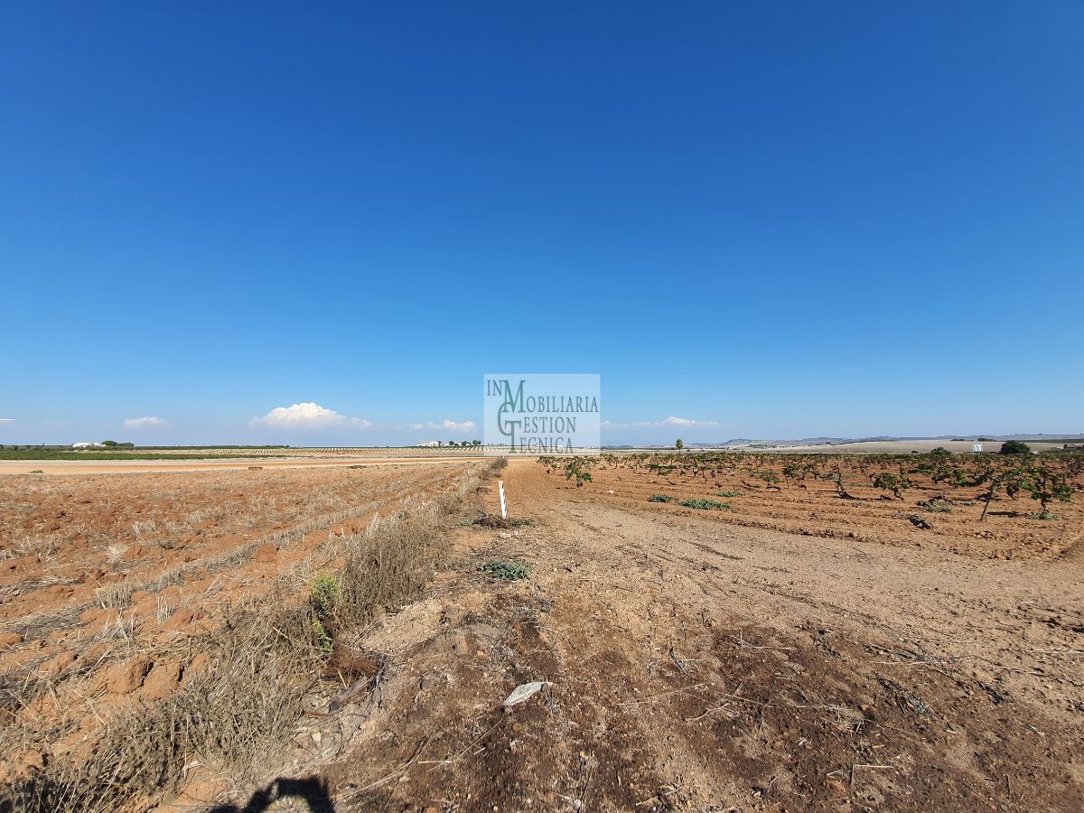 Venta de finca rústica en El Puerto de Santa María