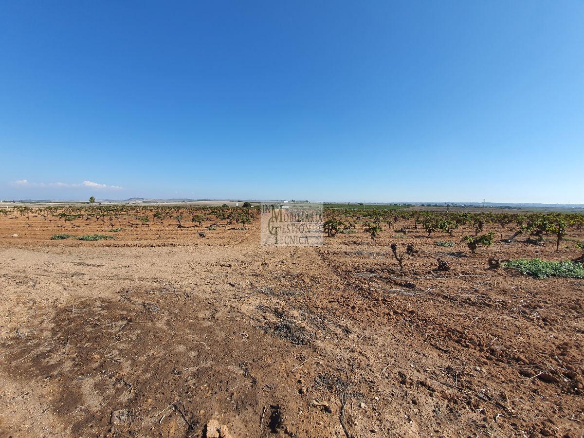 Venta de finca rústica en El Puerto de Santa María