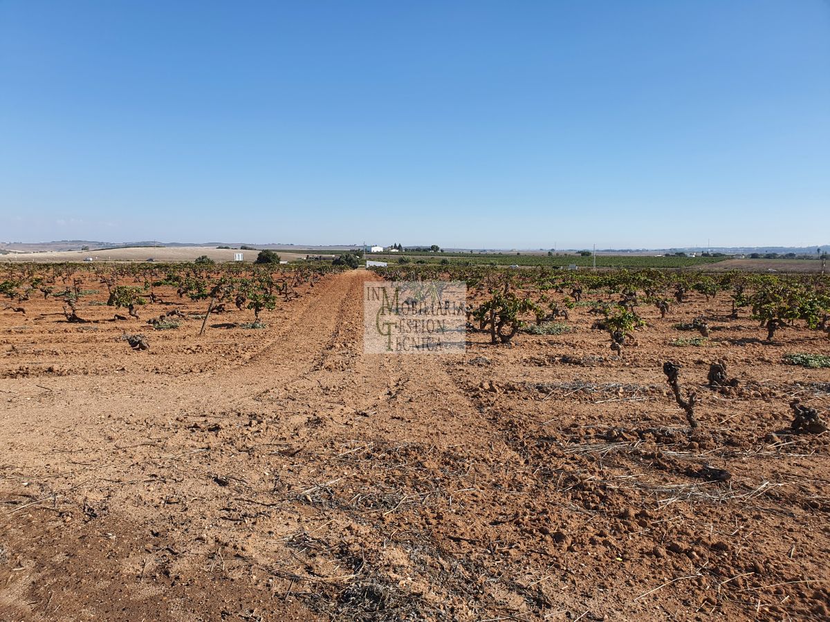 Venta de finca rústica en El Puerto de Santa María