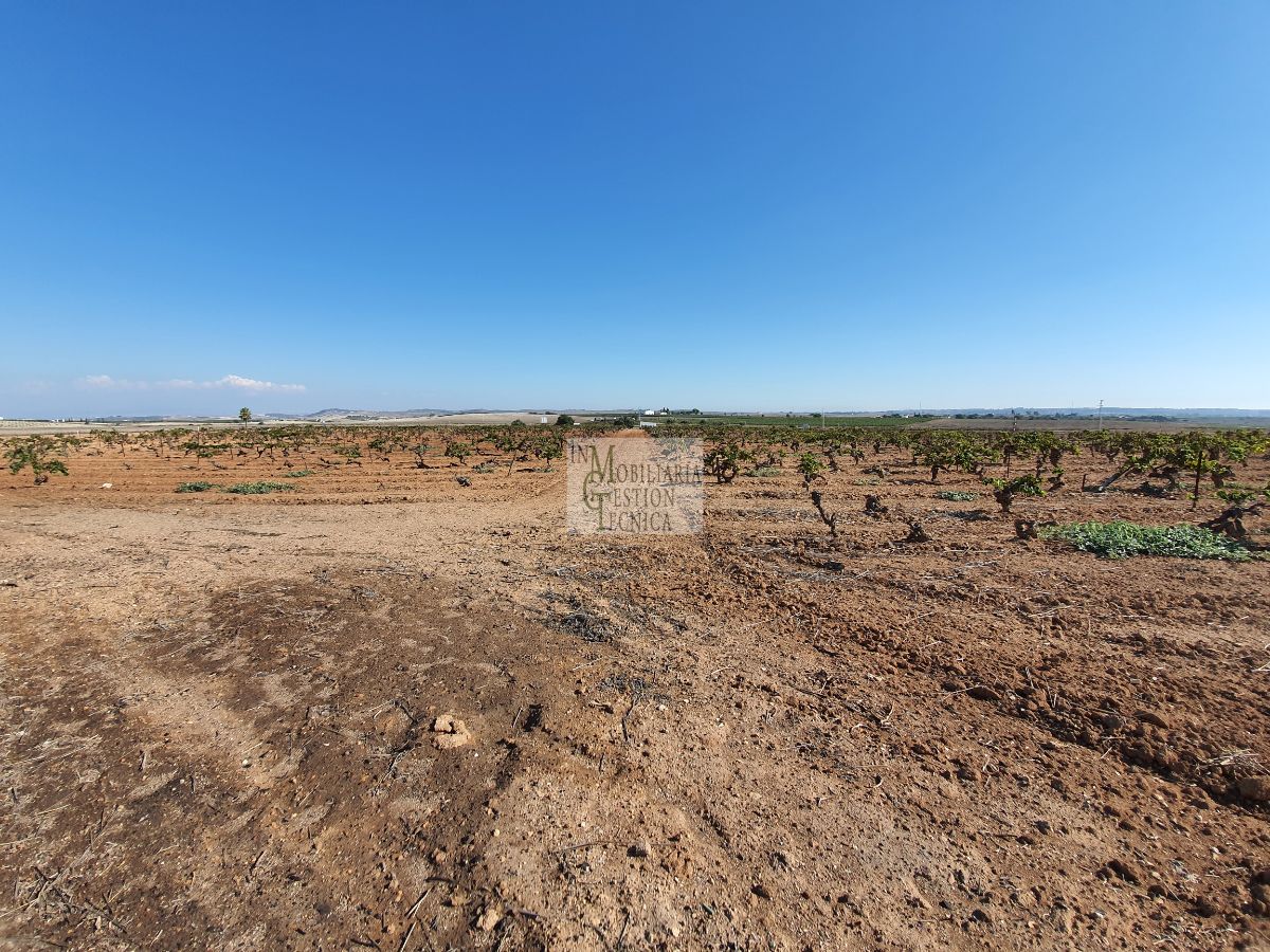 Venta de finca rústica en El Puerto de Santa María