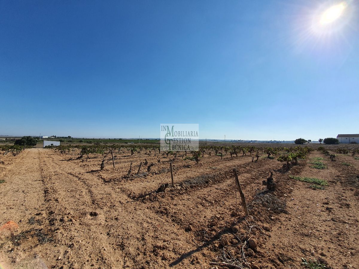 Venta de finca rústica en El Puerto de Santa María