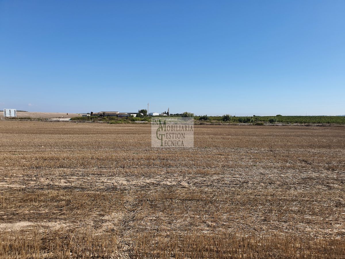 Venta de finca rústica en El Puerto de Santa María