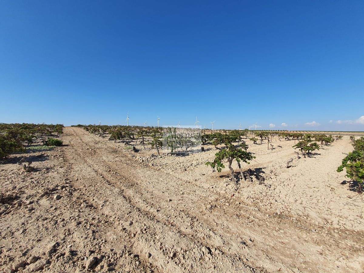 Venta de finca rústica en El Puerto de Santa María