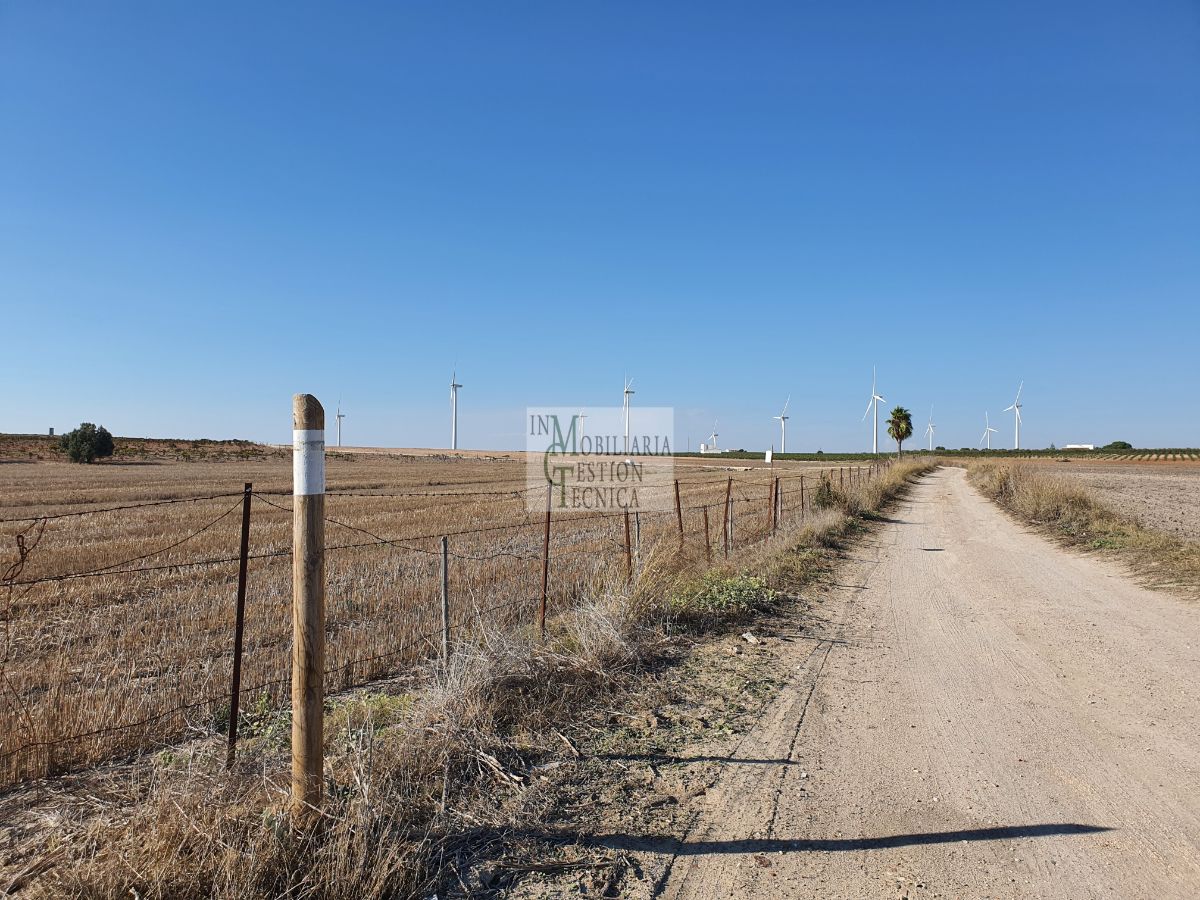 Venta de finca rústica en El Puerto de Santa María