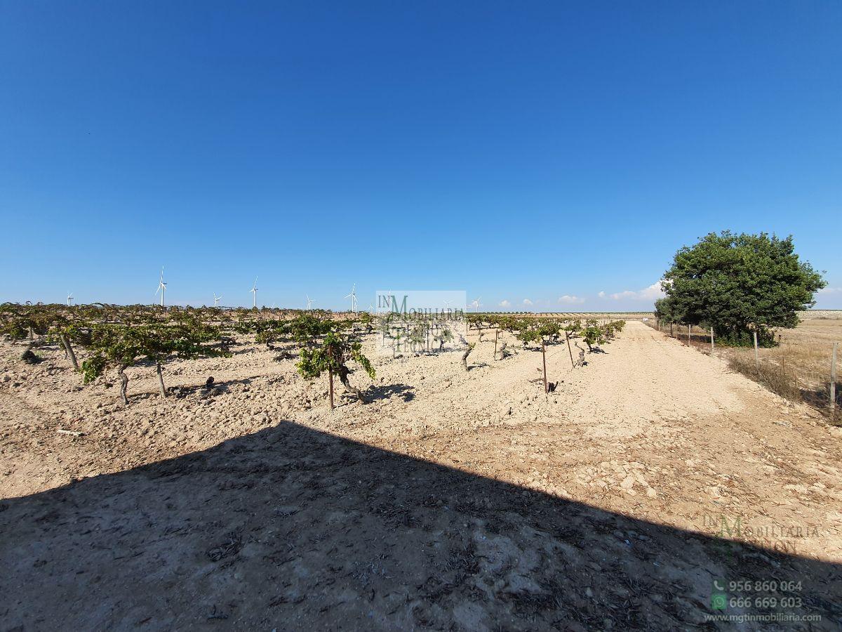 Venta de finca rústica en El Puerto de Santa María