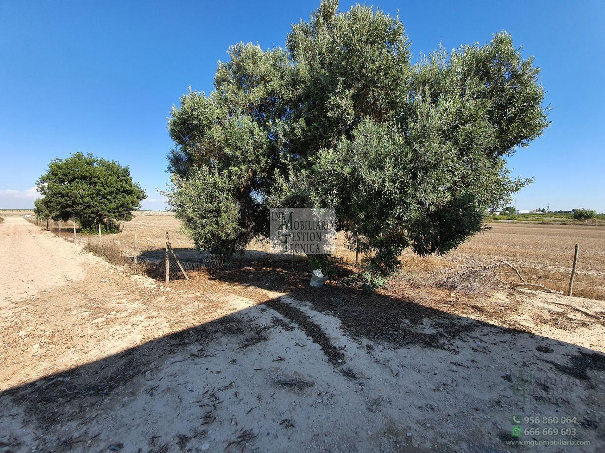 Venta de finca rústica en El Puerto de Santa María