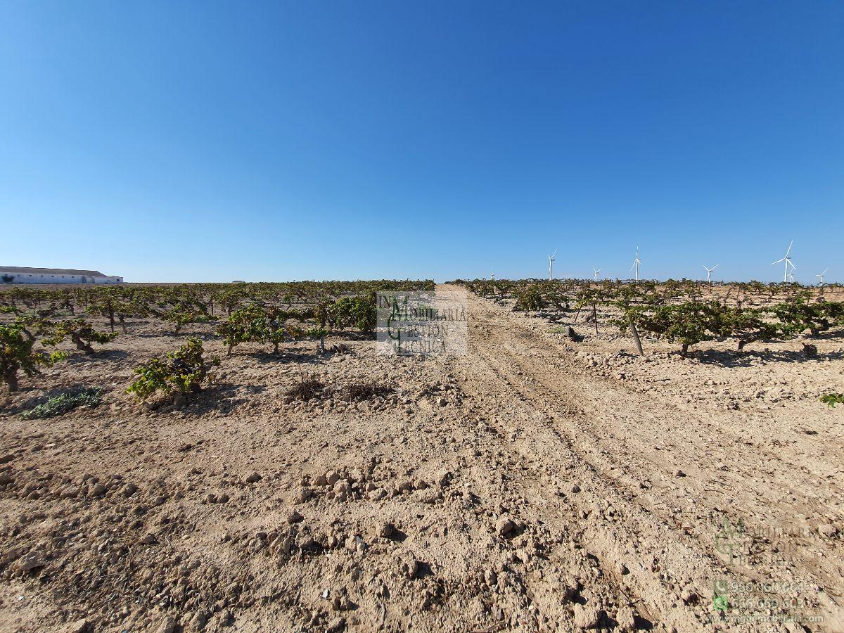 Venta de finca rústica en El Puerto de Santa María