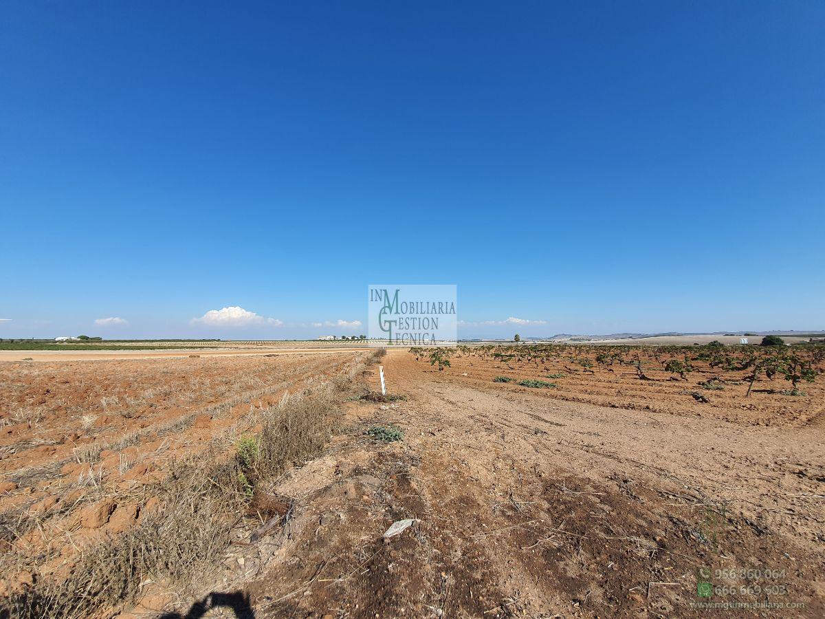 Venta de finca rústica en El Puerto de Santa María
