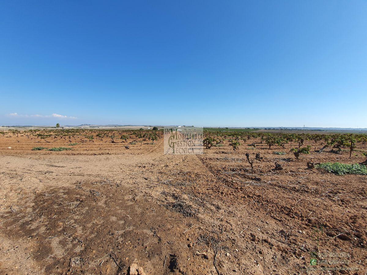 Venta de finca rústica en El Puerto de Santa María