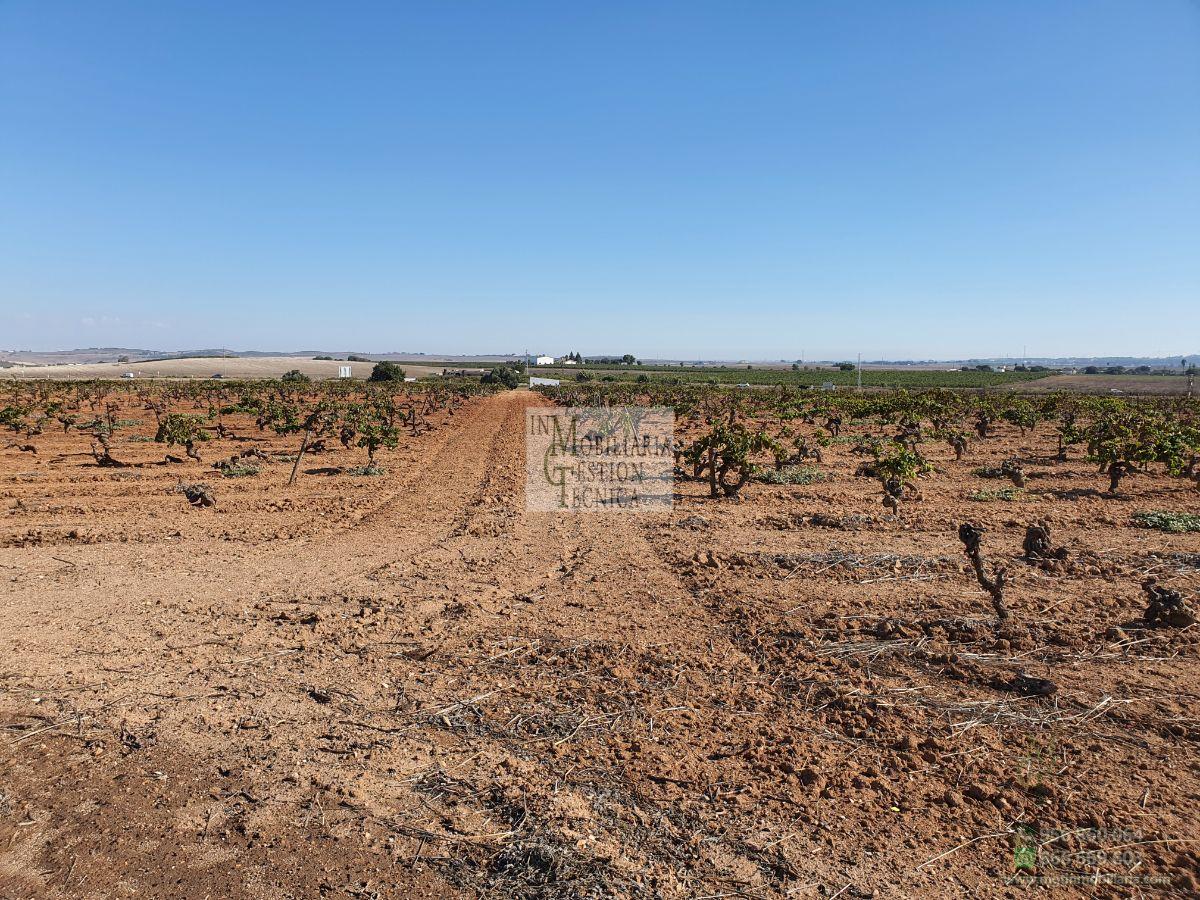 Venta de finca rústica en El Puerto de Santa María