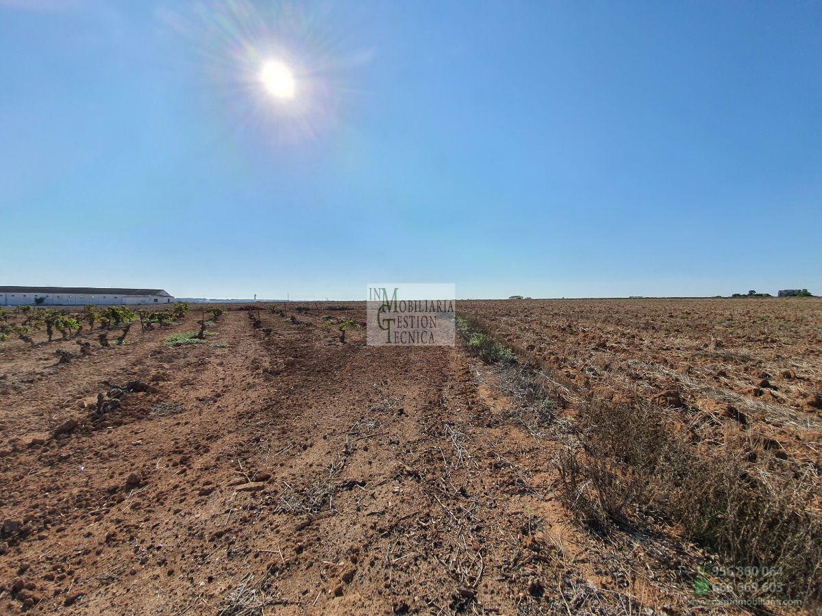 Venta de finca rústica en El Puerto de Santa María