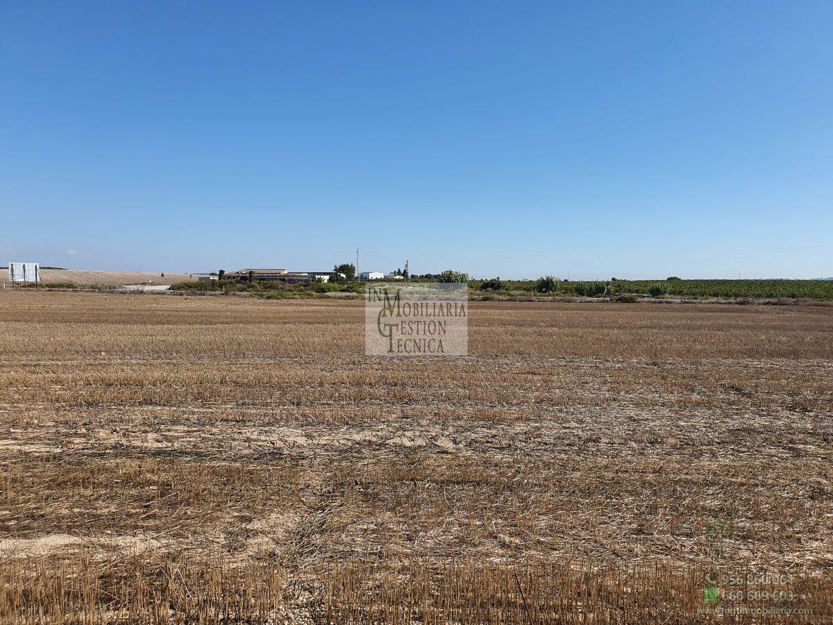 Venta de finca rústica en El Puerto de Santa María