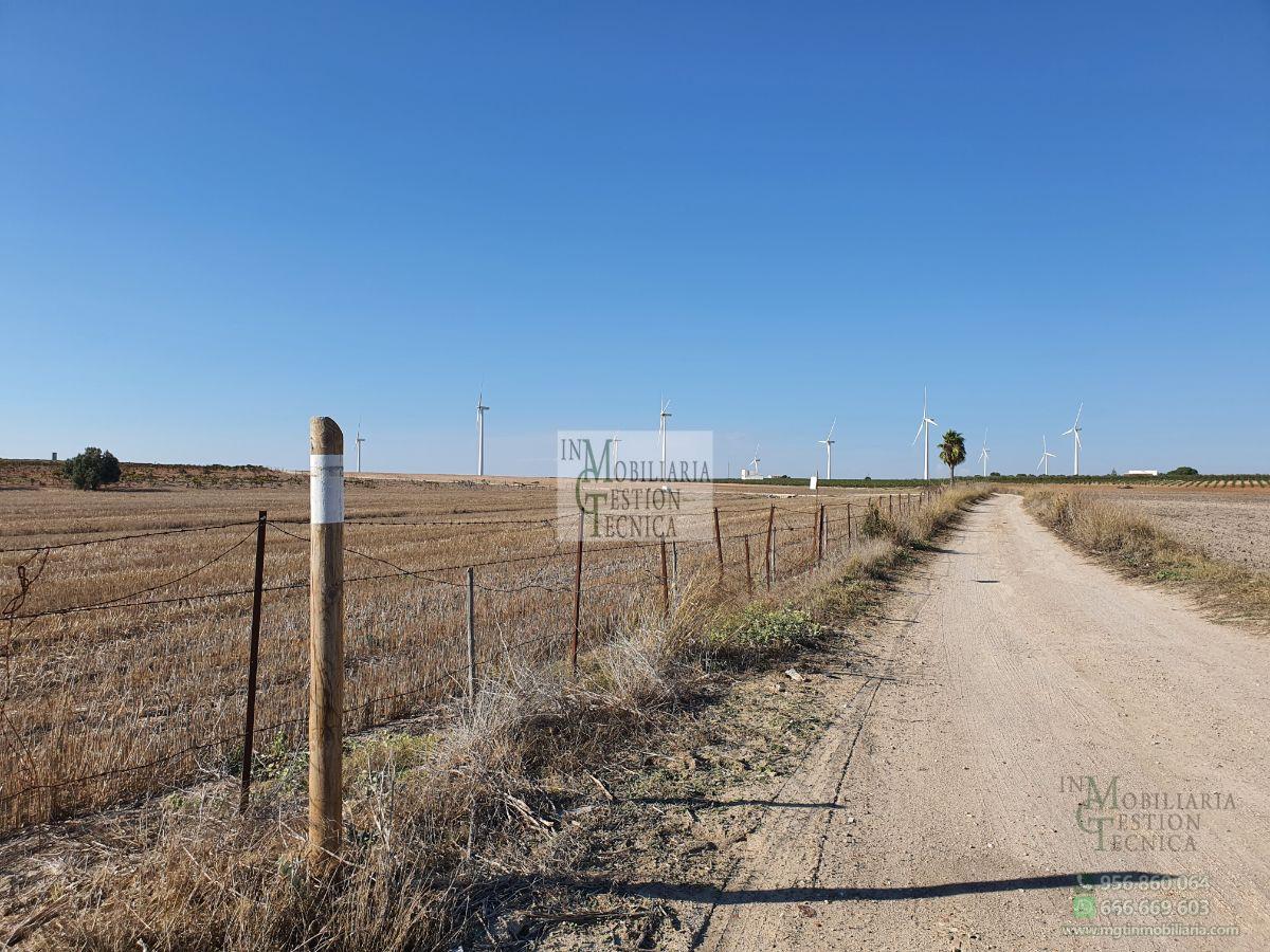 Venta de finca rústica en El Puerto de Santa María