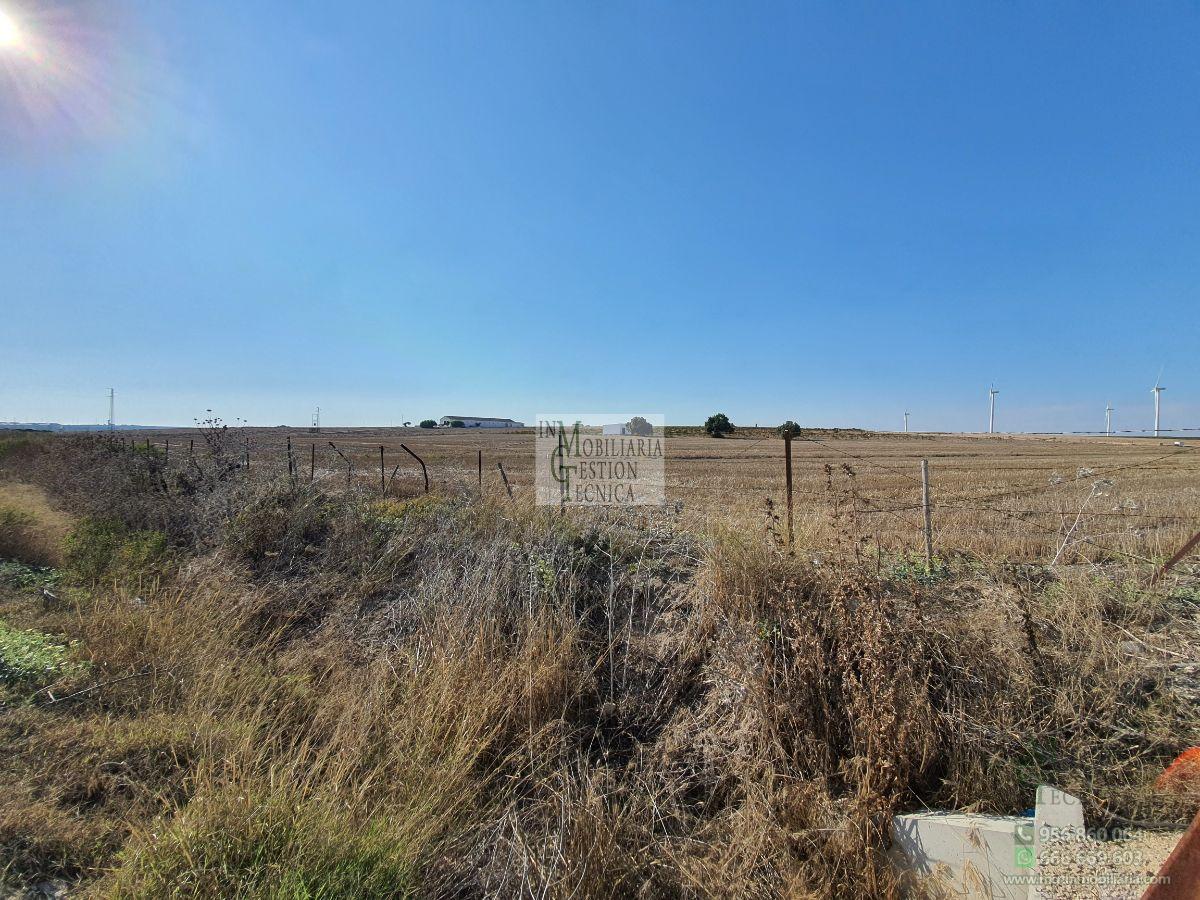 Venta de finca rústica en El Puerto de Santa María