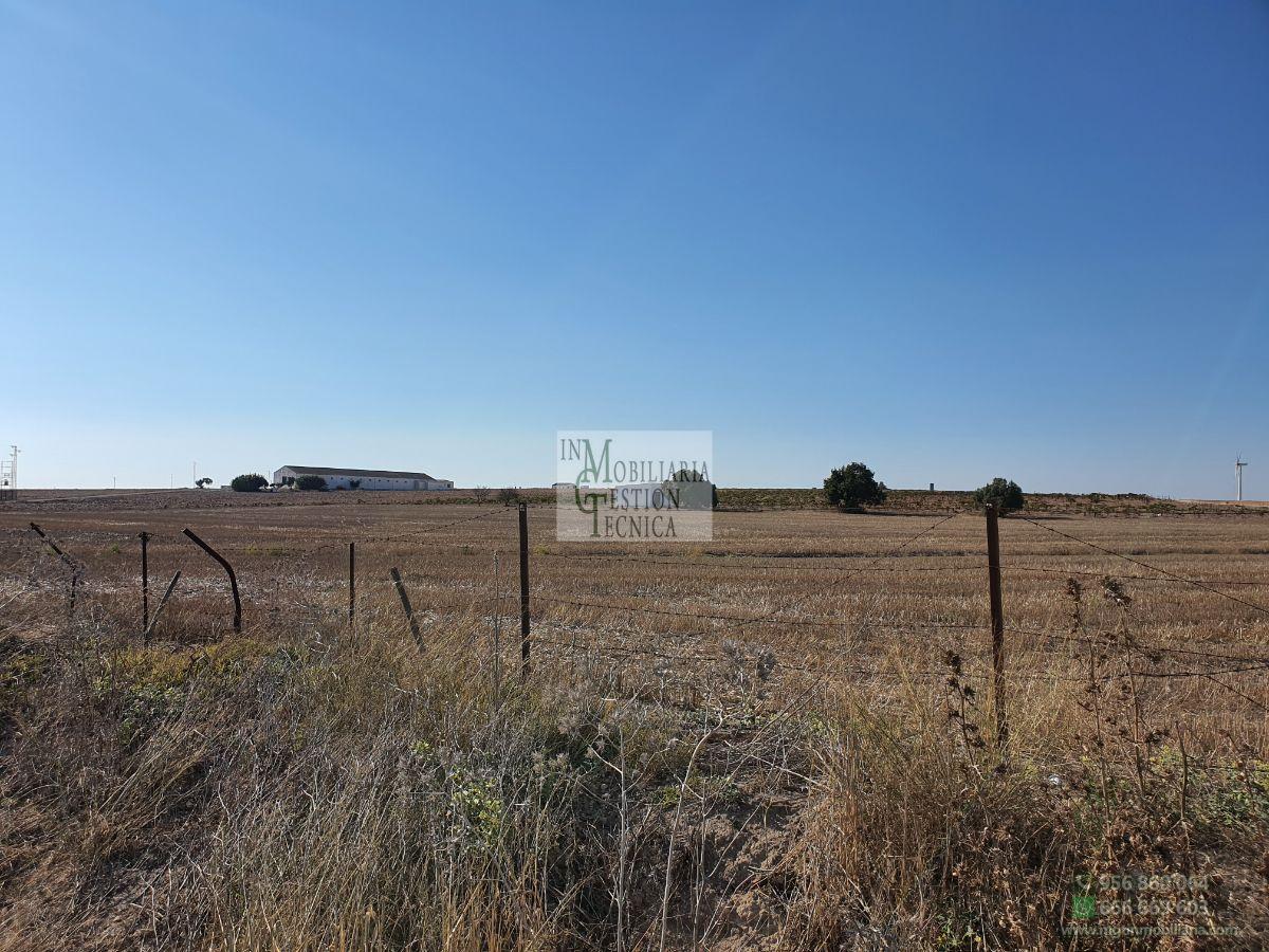 Venta de finca rústica en El Puerto de Santa María