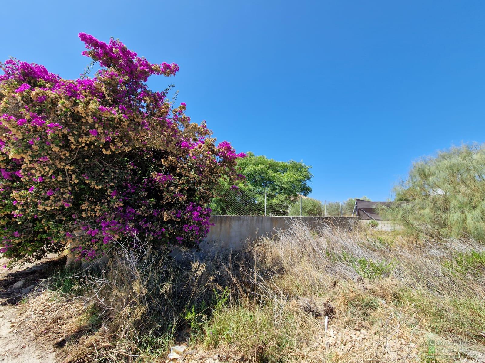 Venta de terreno en El Puerto de Santa María