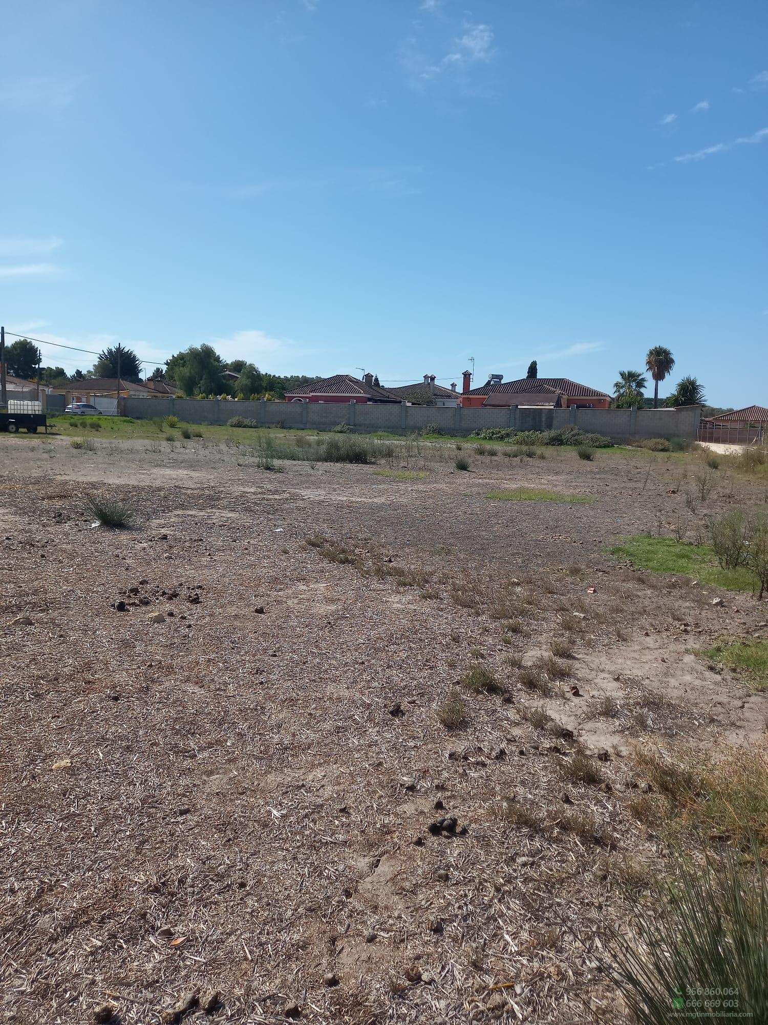 Venta de finca rústica en El Puerto de Santa María