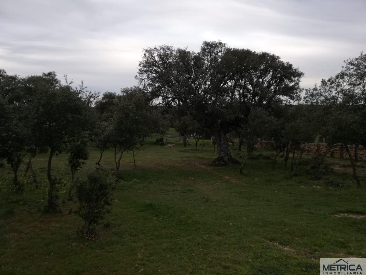 For sale of  in Arapiles