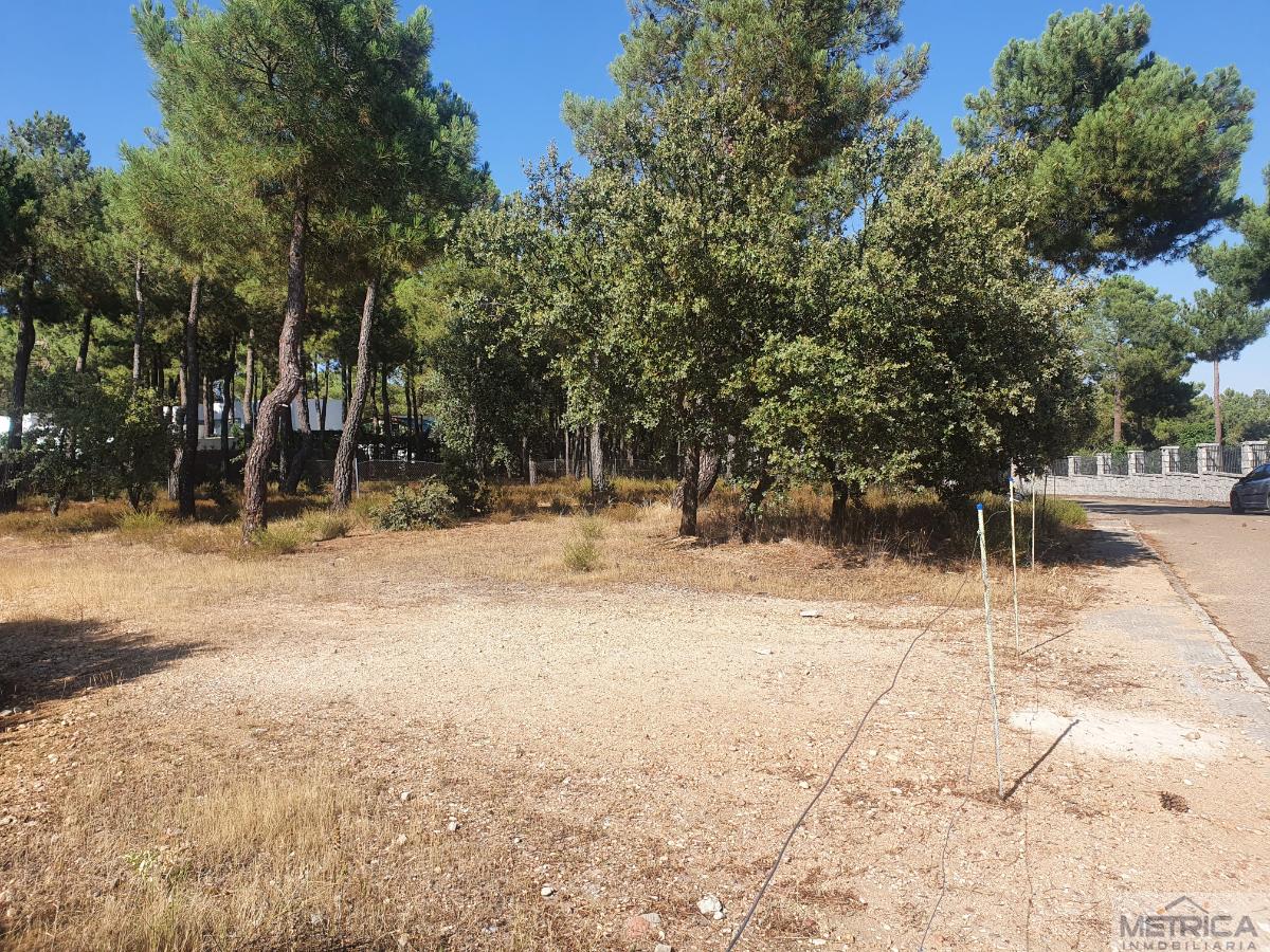 For sale of land in Salamanca