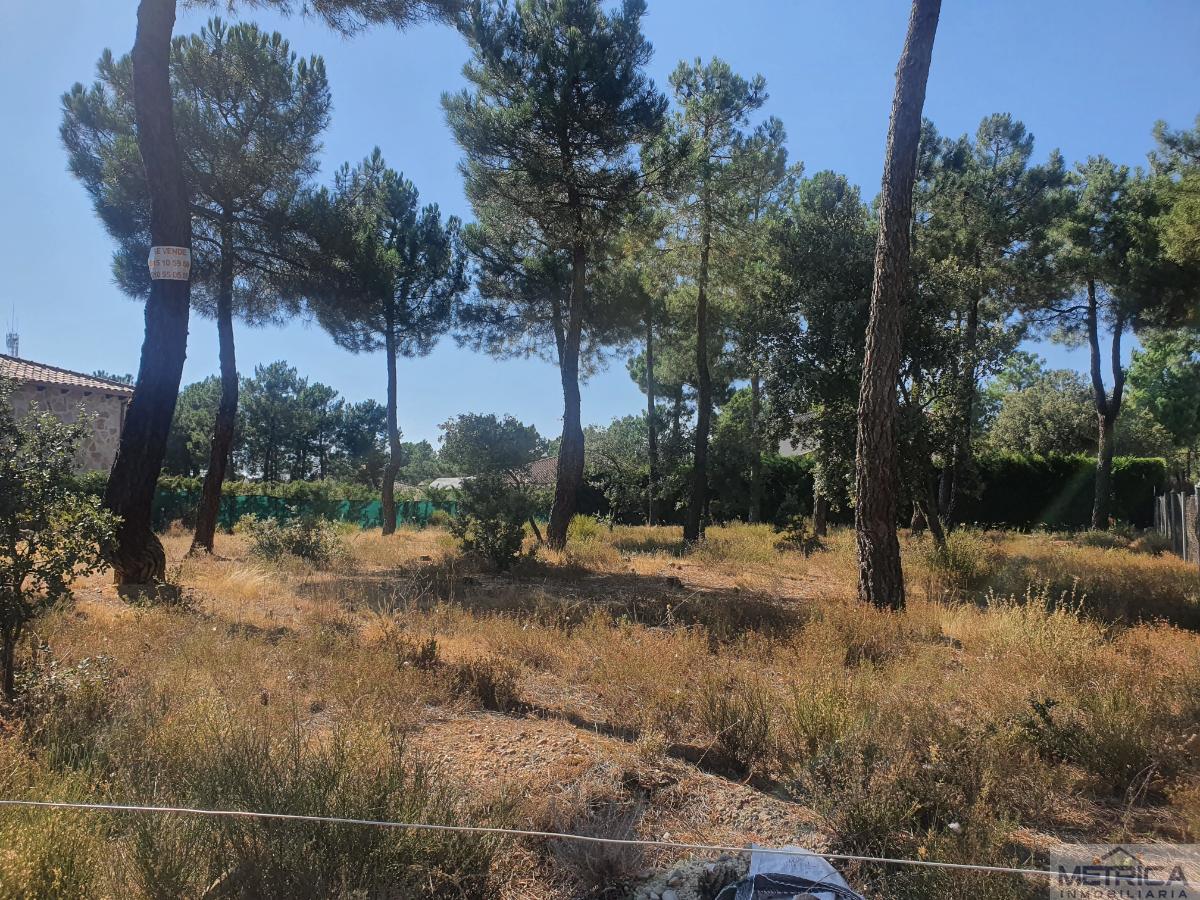 For sale of land in Salamanca