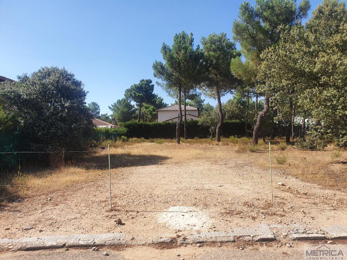 For sale of land in Salamanca