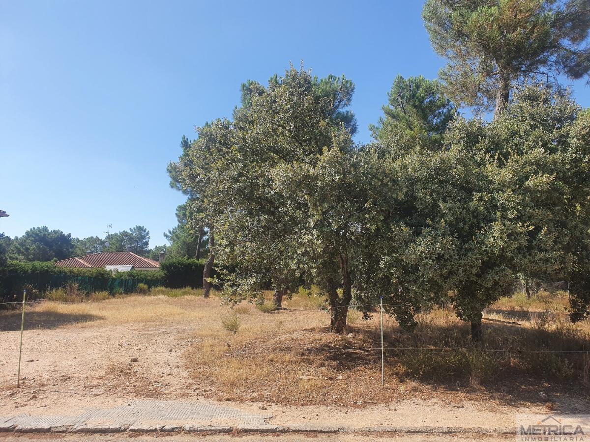 For sale of land in Salamanca