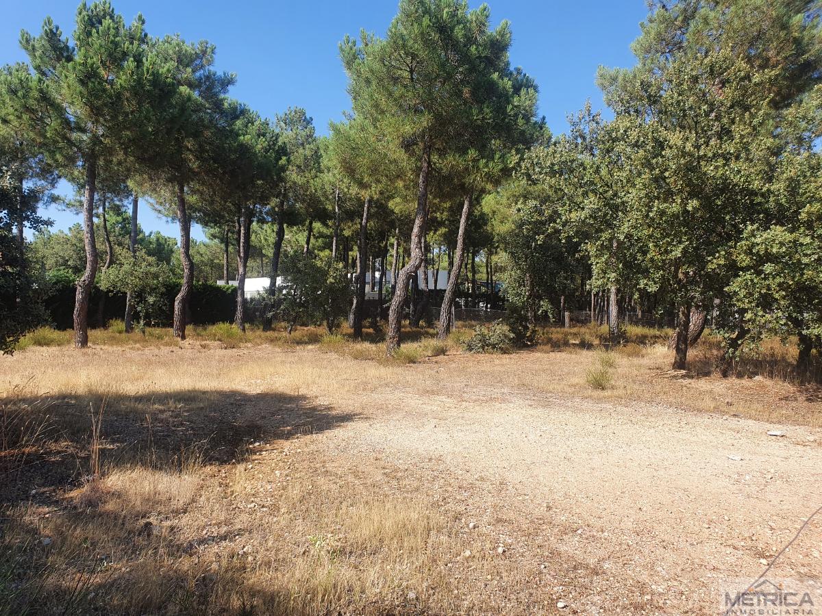 Venta de terreno en Salamanca