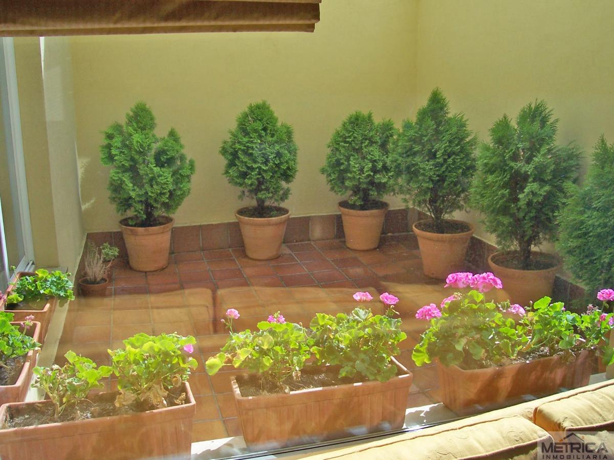 For sale of house in Salamanca