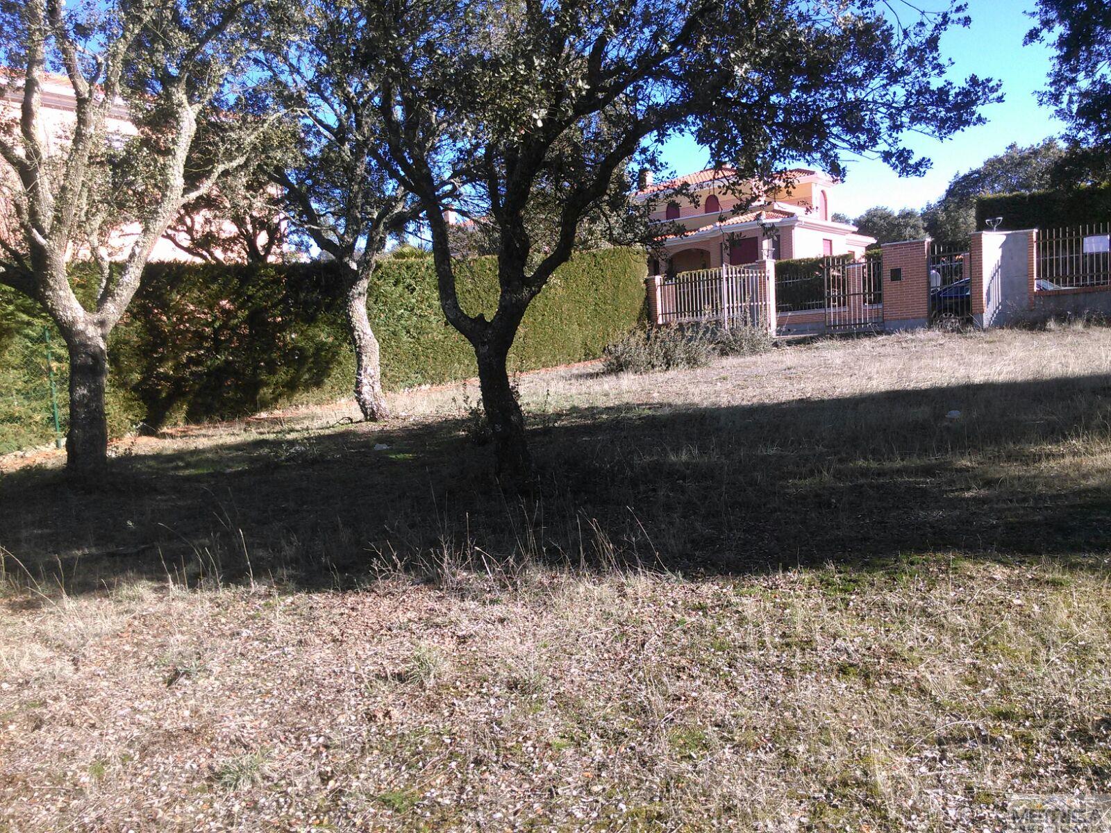 For sale of land in Buenavista