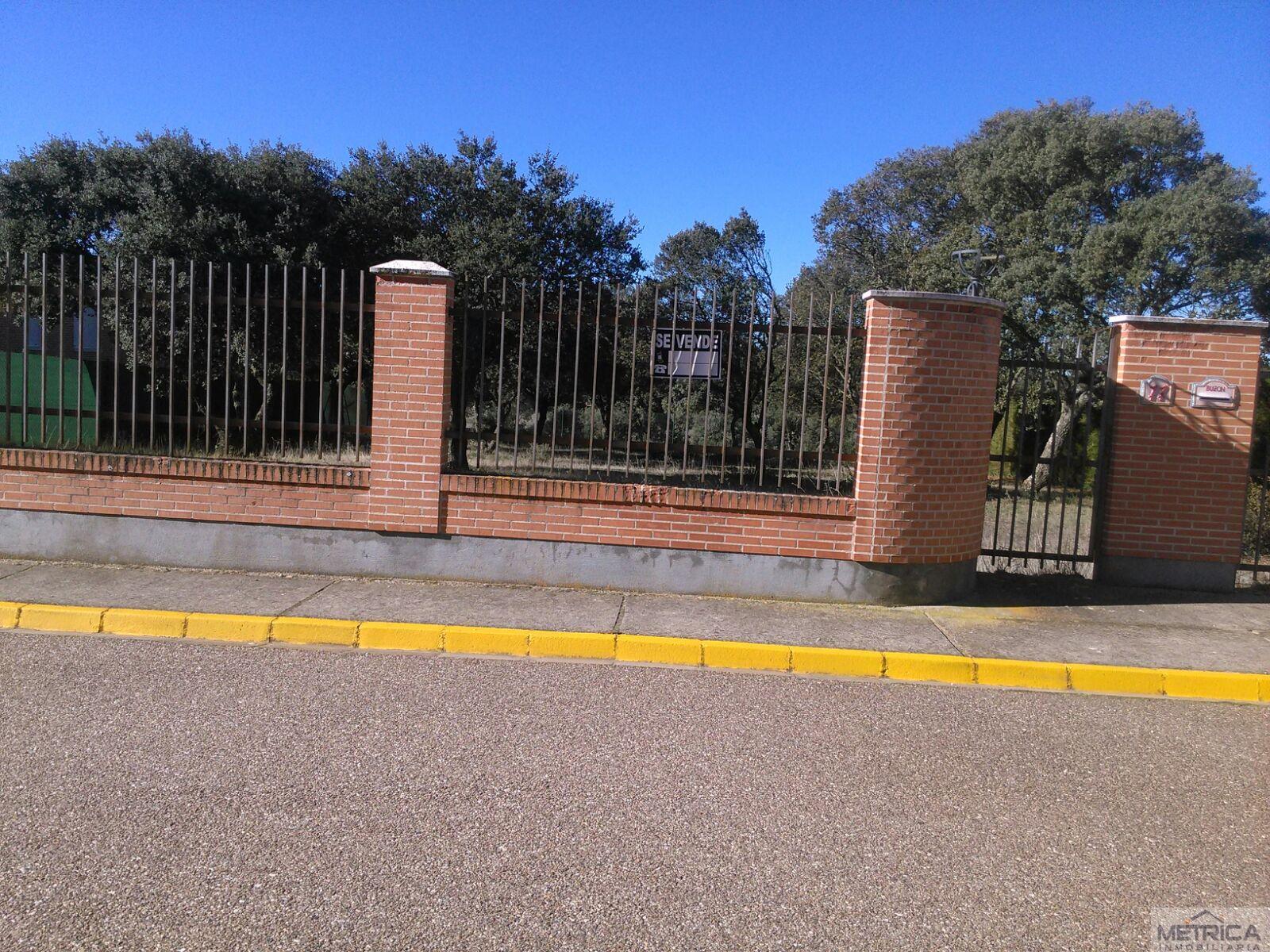 For sale of land in Buenavista