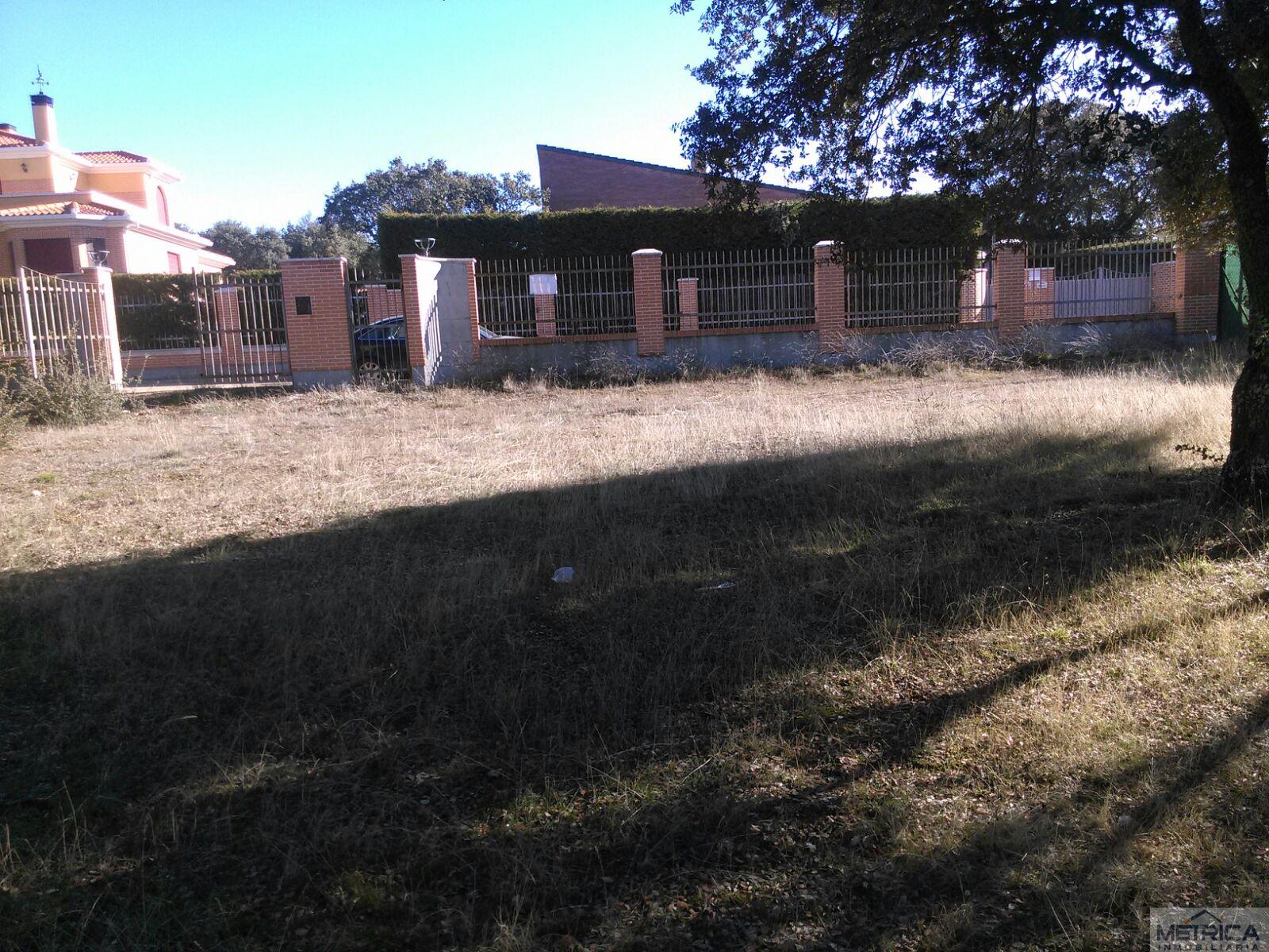 For sale of land in Buenavista
