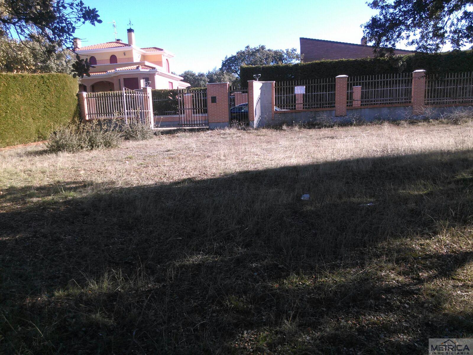 For sale of land in Buenavista
