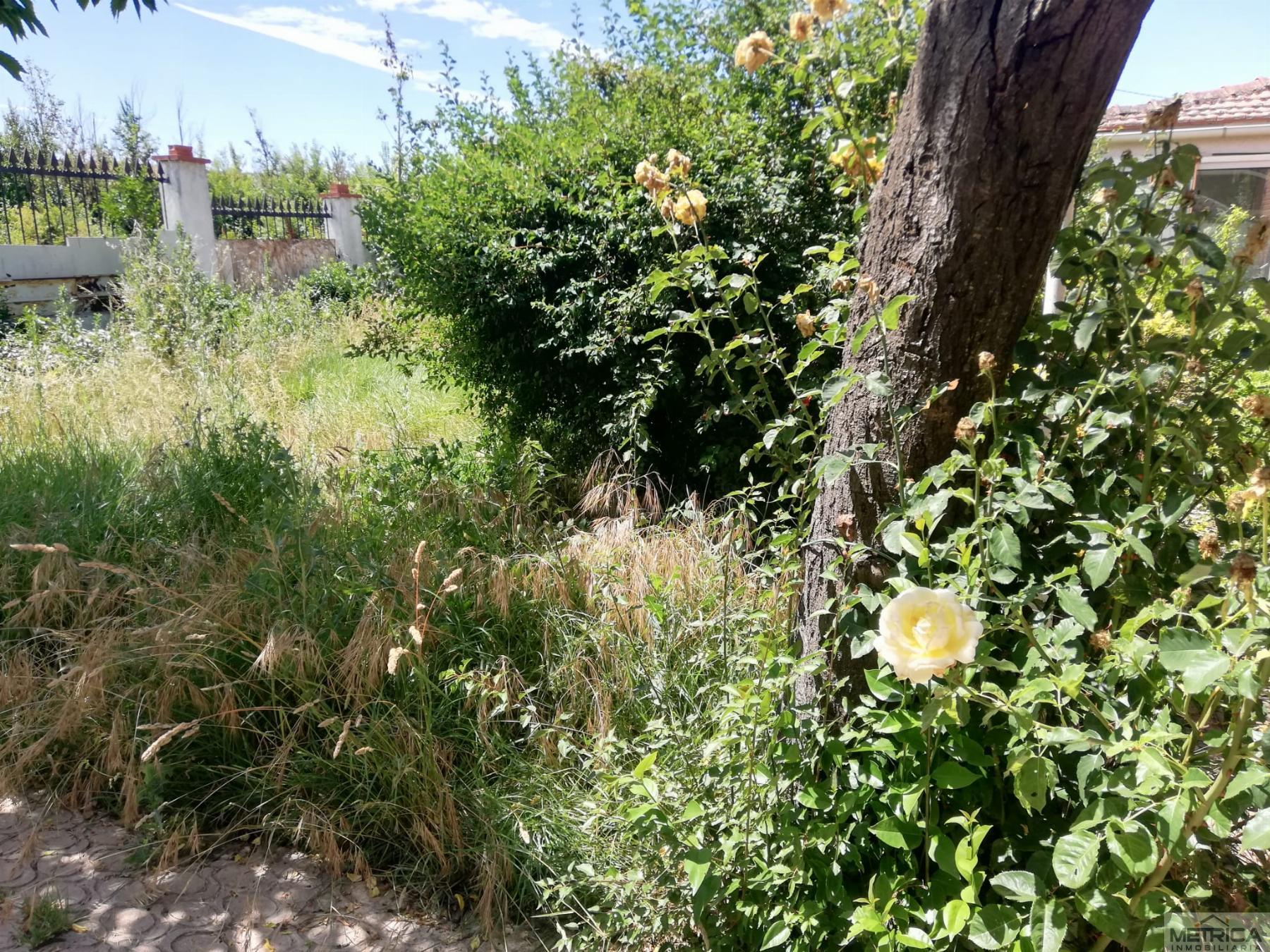 For sale of chalet in San Pedro de Rozados