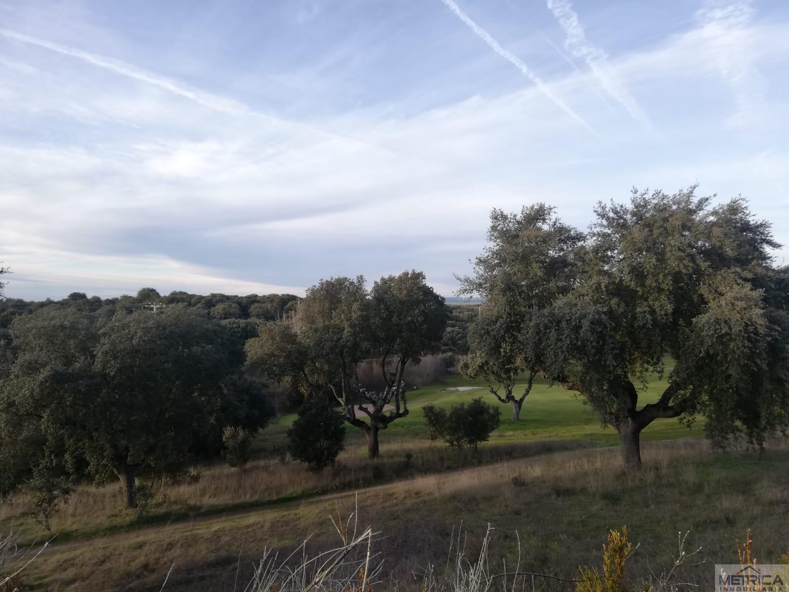 For sale of flat in Zarapicos
