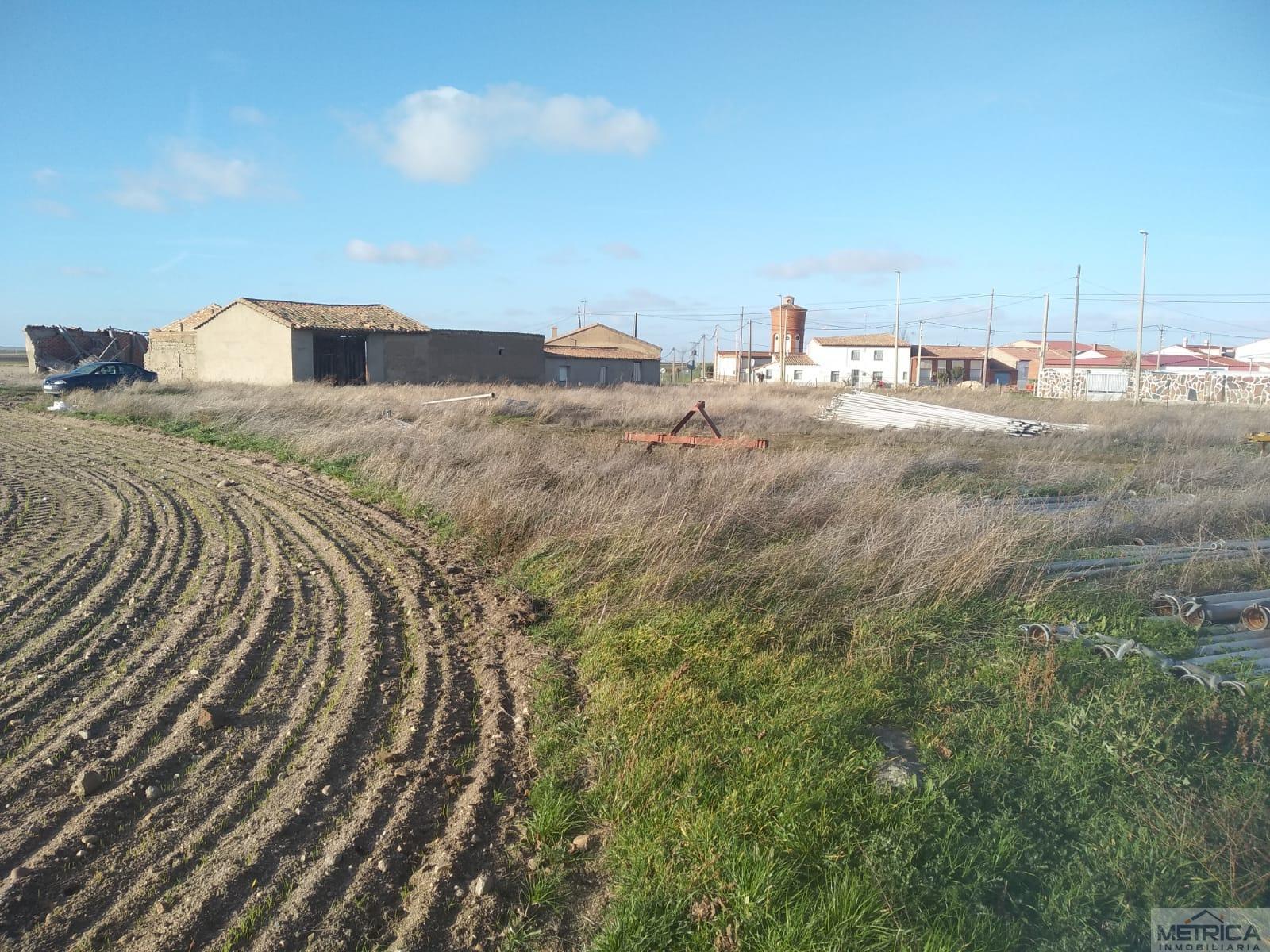For sale of land in El Campo de Peñaranda