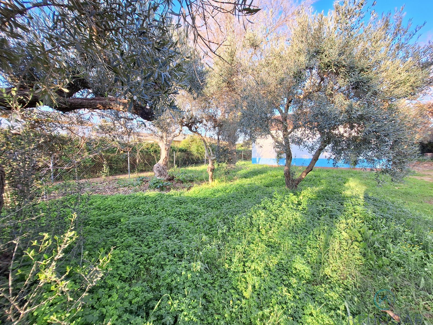 Venta de finca rústica en Dos Hermanas