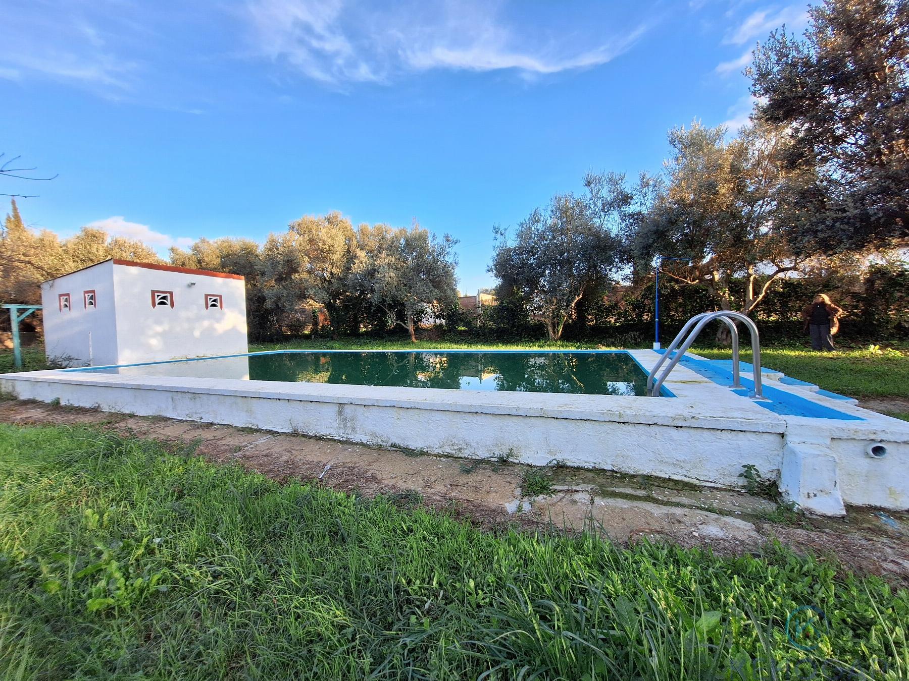 Venta de finca rústica en Dos Hermanas
